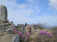 비슬산(대구) 산행