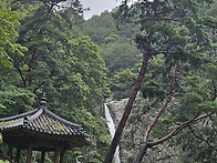 월이산(영동) 산행