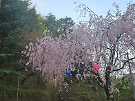 Re: 태조산 각원사 청동대..