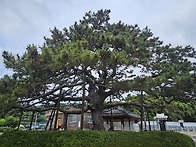 서해랑길 31코스(신안)
