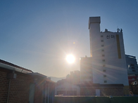 붉은 손 / 황장진