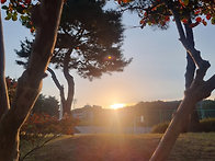 불변 / 황장진