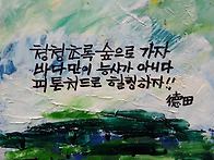 7월의 숲
