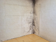 주거환경개선사업지원 사진..