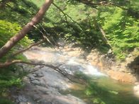 대원사계곡 자투리..
