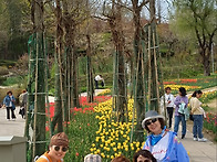 24년 울림 야유회(피나클랜..