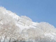중.고 야간