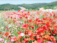 중학교 주간 수업
