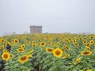 중학교 주간 수업