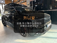 카니발!! 요즘 무스웨이 ..