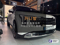 카니발! 차주분 취향저격!..