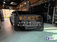펠리세이드!!! 차주분 맞..