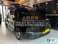 앰프시스템갤러리 스타리아..