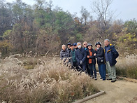 [산행후기]191차/25.11..