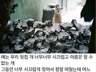 그동안 오해하면서 지낸사..