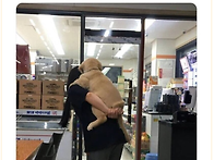 강아지를 혼냈더니 삐졌다..