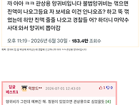 양귀비 집 앞 마당에 피어..