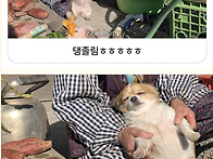 할머니따라 시장갔다가 지..