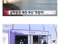 현재 매우 핫하다는 여수섬..