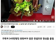 97만 유튜버 영상 카피 한..
