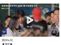 초등학생 유괴 미수' 20..