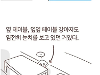 강아지들은 눈치가 빠르다..