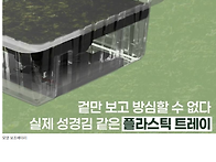 맛있는걸로 유명한 성경김