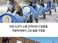 80대 할아버지의 산책시간