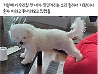 거실에서 낑낑대는 소리가..