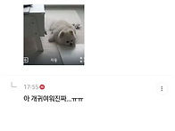 회사에서 집 CCTV 보다가 ..