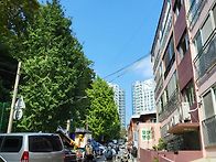 ♡황령산 "맨발숲..