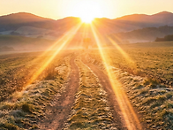 다시 열리는 아침