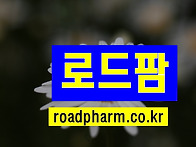 교량침투식방수 공..