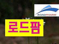 교면방수 수명연장..