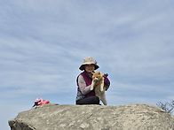 3/24일(화)충남 예산 가야..