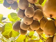 09/08(화)경남 함양 독바..