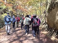 10/27일(화)충북 보은 속..