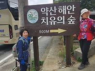 전남 완도약산 해안 치유의..