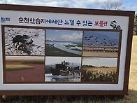 전남 순천 남파랑61길