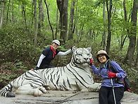 7/28일(화)충북 영동 민주..