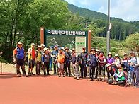 전북 진안 덕태산(홍두깨재..
