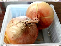 감기예방! 정말 놀라운 정보입니다!