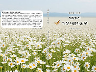 김신오 시선집 -..