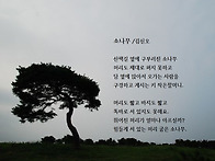 소나무/김신오