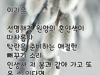 봄은 또 오건만