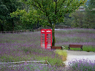 2025년 우리 동네 가을풍경..