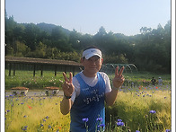 5월 넷째 주 일달사진(5..