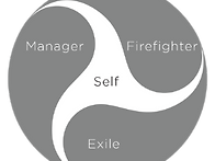 [칼럼]IFS 만다라의 재해..