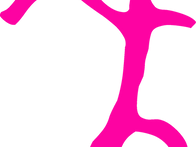 26학년도 합격생