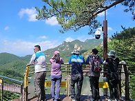 우두산 Y자 출렁다리^^